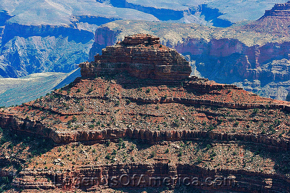 Grand Canyon, AZ - Standing Tall