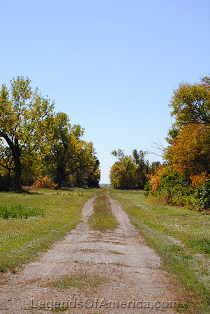 Venturia ND - Tree Lined Lane