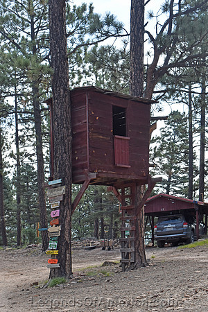 Idlewild, NM - Tree House