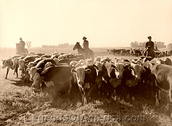 Cowboys in Nebraska, 1938