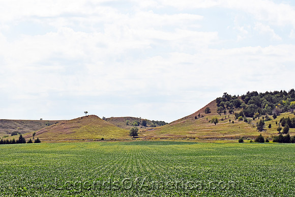 Jewell County, KS - Landscape