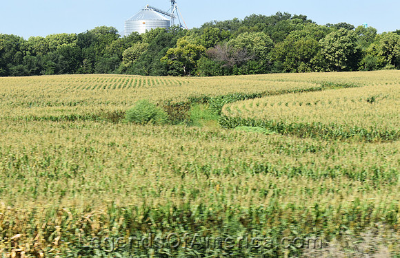 Hadam, KS - Landscape