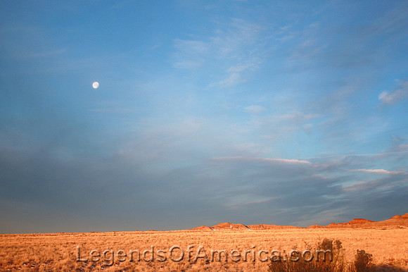 Petrified Forest, AZ - Dawn
