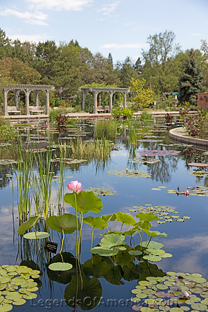 Denver, CO - Shofu-en Japanese Garden Lagoon