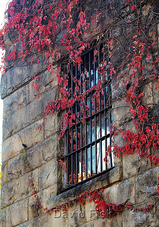 Ozark, AR - Old Franklin County Jail Window