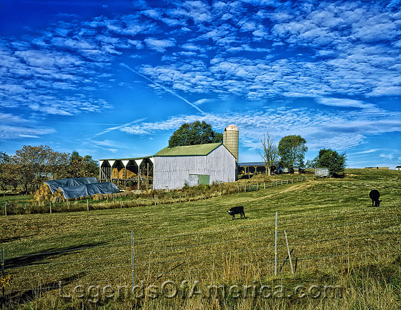 Virginia - Farm