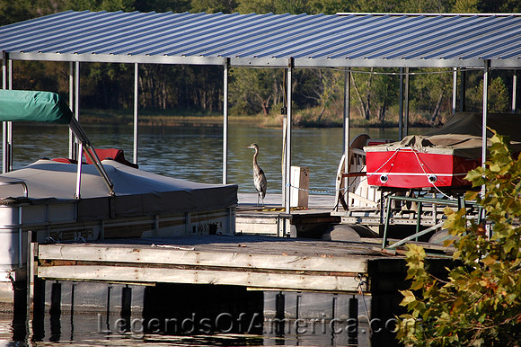 Lake of the Ozarks - Buddy Blue Fall Welcome