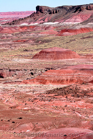 Petrified Forest, AZ - Lacey Point