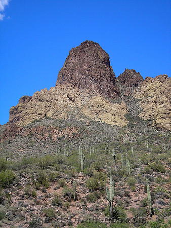 Tonto National Forest