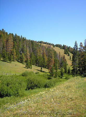 Montana Wildnerness
