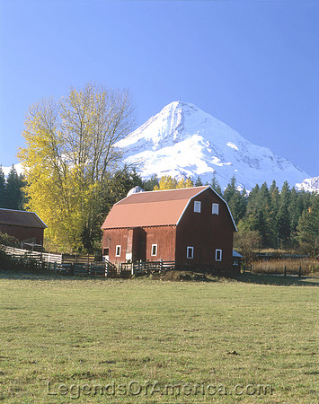 Mt Hood, OR - Barn