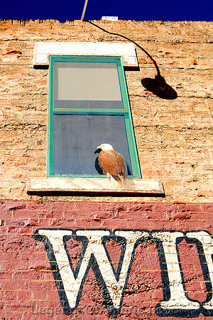 Winslow, AZ - Standin' Corner - Window - 2