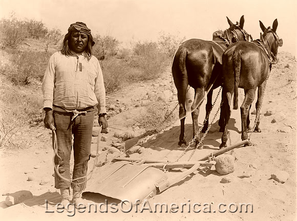 Native American with mules, Salt River Project, Arizona, national photo company, early 1900s