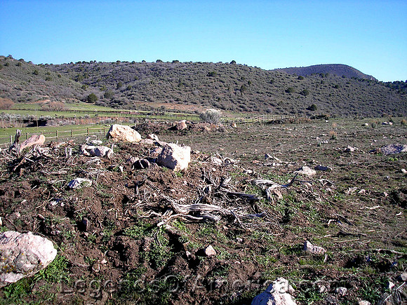 Mountain Meadows Massacre, UT - Field