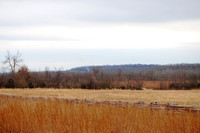 Springfield Area