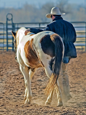 Cowboy & Horse