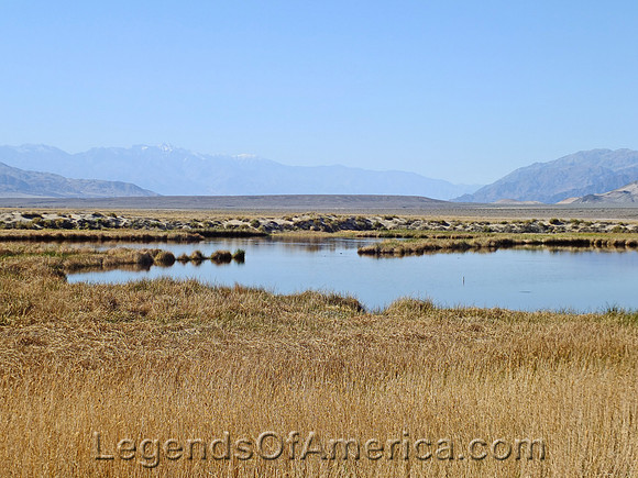 Death Valley, CA - Saratoga Springs