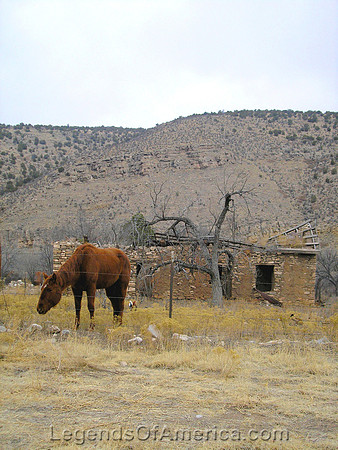 Lincoln, NM - Horse