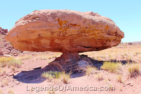 Petrified Forest, AZ - Landscape