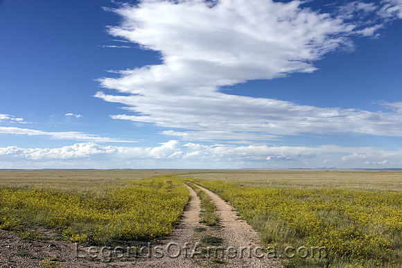 Laramie Plain, WY