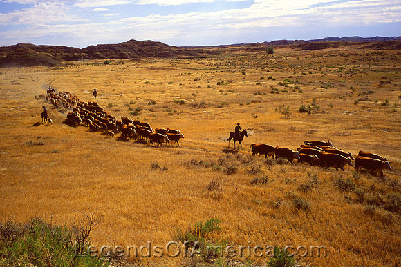 RanchRoundupUSDA ARS