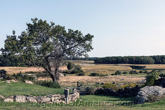 Kennebunkport, ME - Marsh Scene