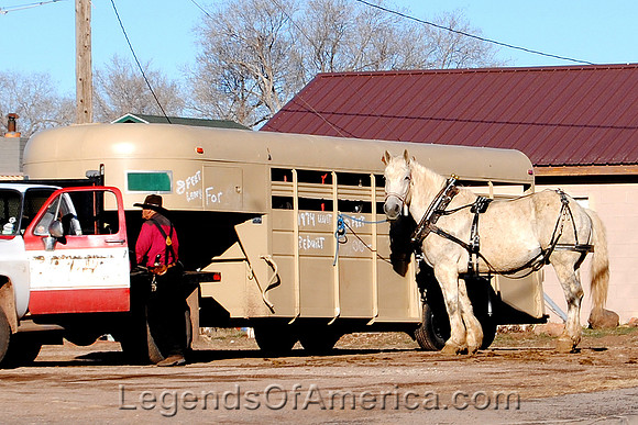 Williams, AZ - Horse