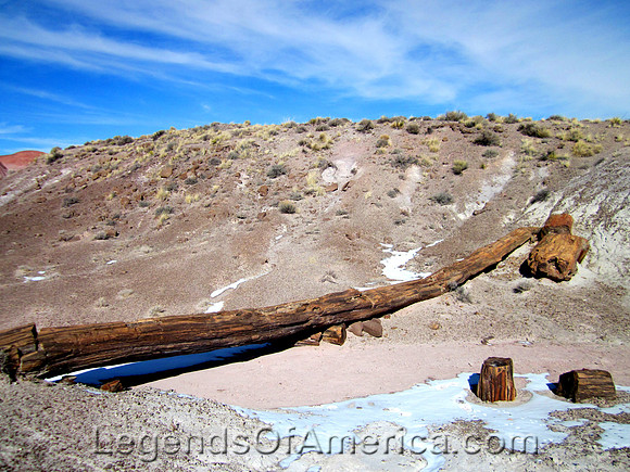 Petrified Forest, AZ - Onyx Bridge