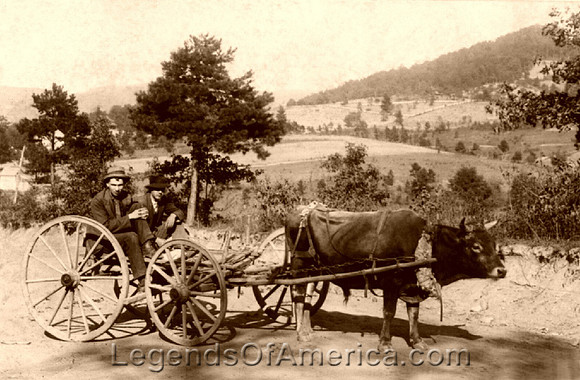 Homeward Bound, 1896