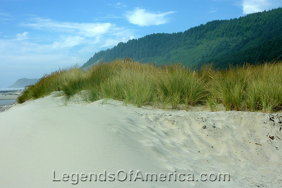Oregon Sand Dunes