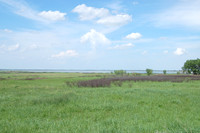 Scenes & Landscape