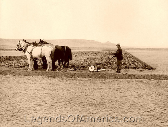 Homestead Plow